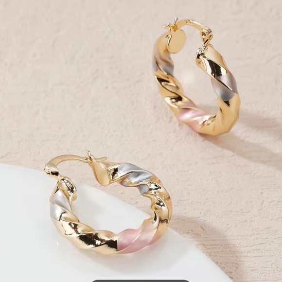 NWT Stainless Steel Twisted Golden Silver Hoop
Earrings - Picture 5 of 6